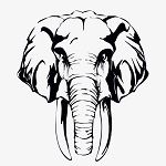 Image de profil de null