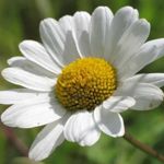 Image de profil de null