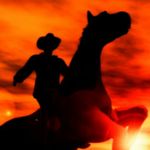 Image de profil de null