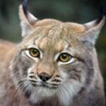 Image de profil de null