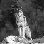 Image de profil de null