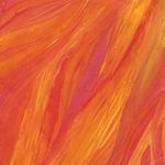 Image de profil de En attendant la pluie 