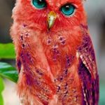 Image de profil de null