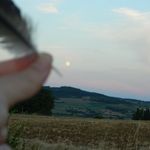 Image de profil de 1978891468840876