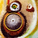 Image de profil de null