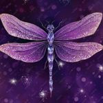 Image de profil de null