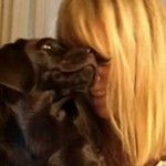 Image de profil de null