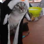 Image de profil de null