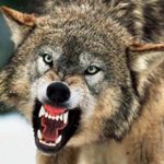 Image de profil de null