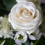Image de profil de null