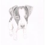Image de profil de null