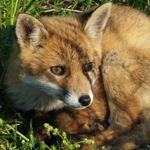 Image de profil de null