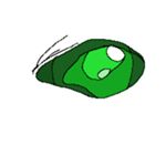 Image de profil de null