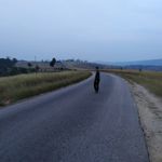 Image de profil de null