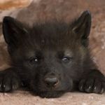 Image de profil de null