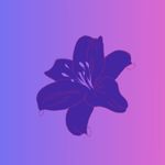 Image de profil de null