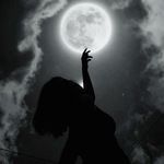 Image de profil de null