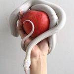 Image de profil de null