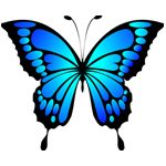 Image de profil de null