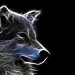 Image de profil de null