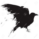 Image de profil de Nessiah22