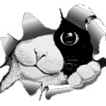 Image de profil de null