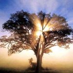 Image de profil de null