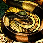 Image de profil de null