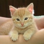 Image de profil de null