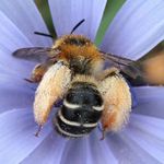Image de profil de null