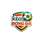 Image de profil de null