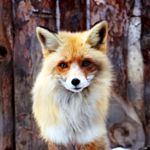Image de profil de null