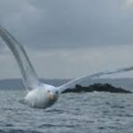 Image de profil de null