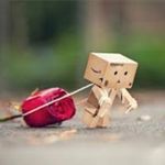 Image de profil de null