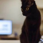 Image de profil de null