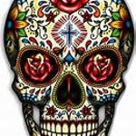 Image de profil de null