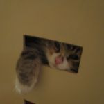 Image de profil de null