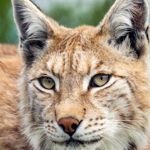 Image de profil de null