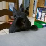 Image de profil de null