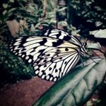 Image de profil de null