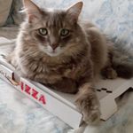 Image de profil de null