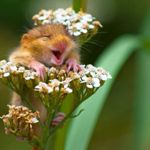 Image de profil de null