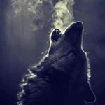 Image de profil de null