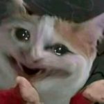 Image de profil de null