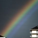 Image de profil de Morgan Chris