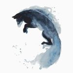 Image de profil de null