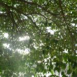 Image de profil de TreiZe 