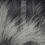 Image de profil de null