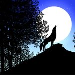 Image de profil de lune2005