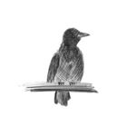 Image de profil de null